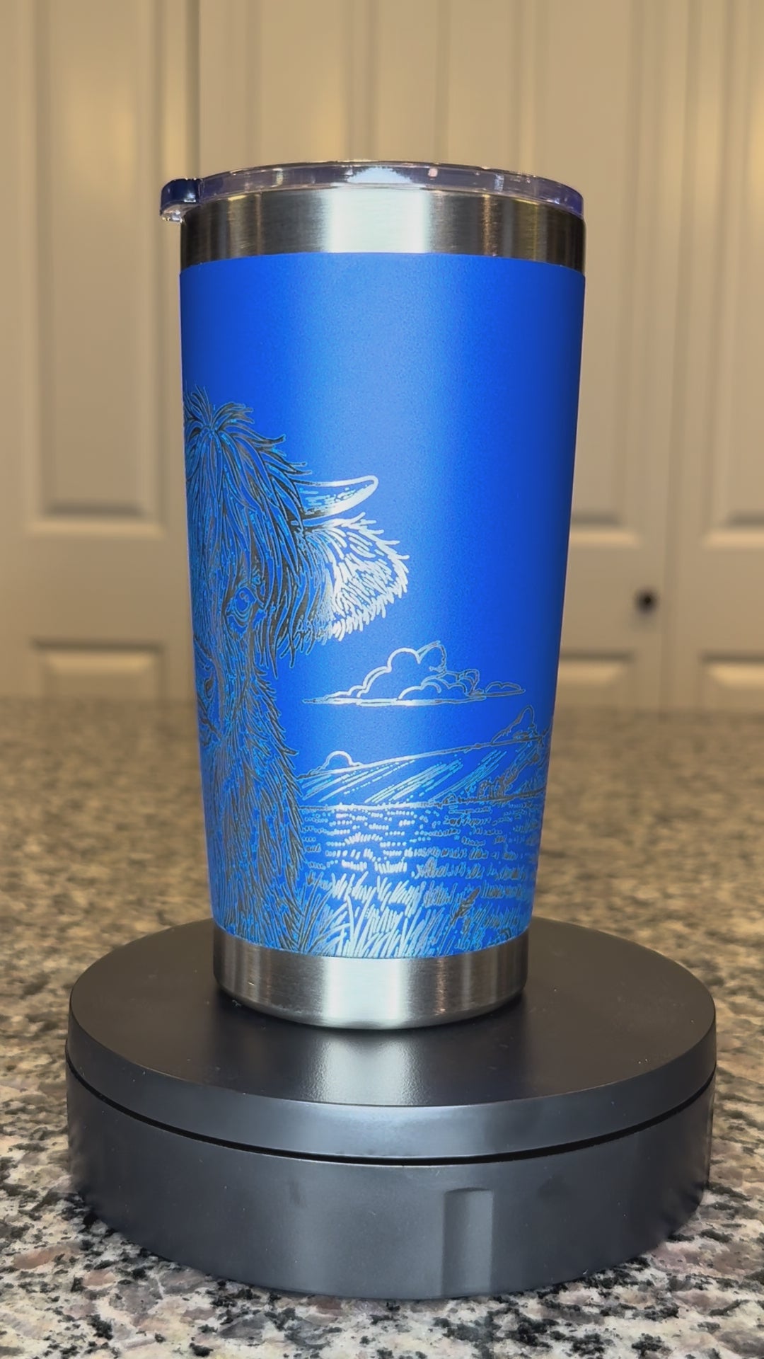 Highland Cow in Field 20oz Tumbler
